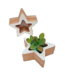 Adorno de Estrella Contenedora 15 x 6 cm